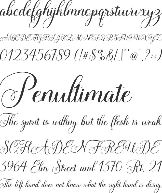 Lady Angelina Script font preview