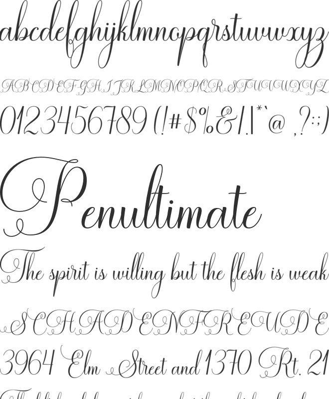 Ramolina Script font preview