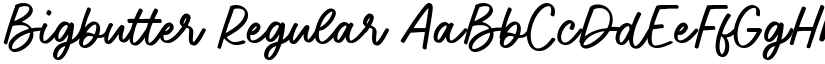 Bigbutter font download
