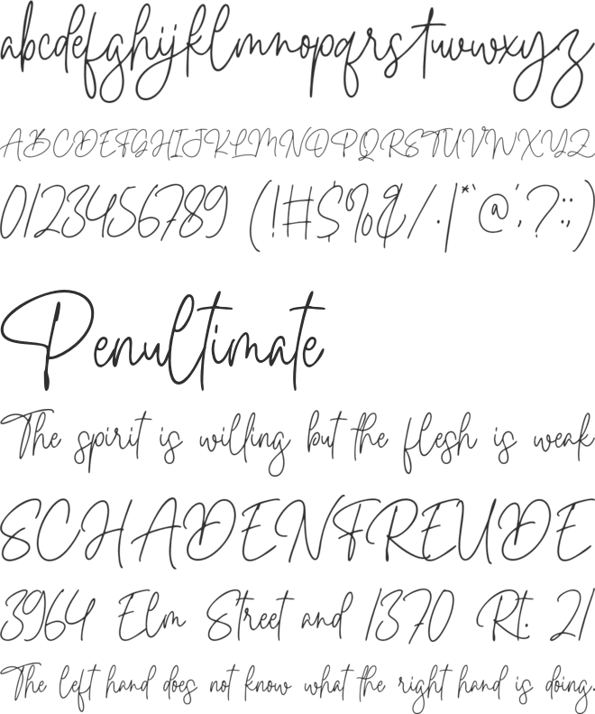 Bella Signature font preview