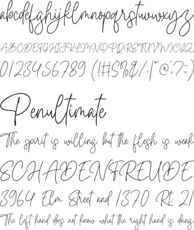 Bella Signature font preview
