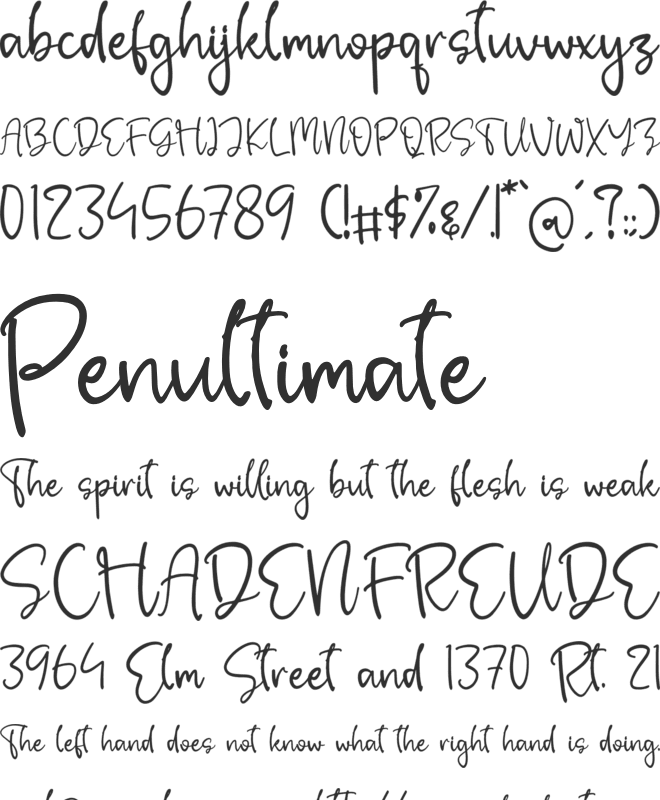 Whitfield font preview