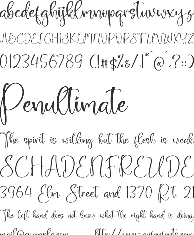 Snow Chirstmas font preview