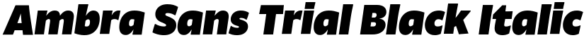 Ambra Sans Trial Black Italic font