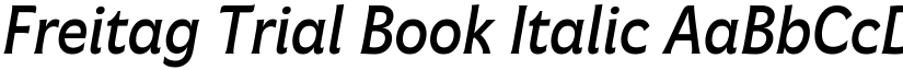 Freitag Trial Book Italic font