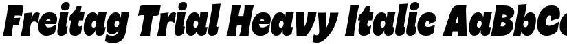 Freitag Trial Heavy Italic font