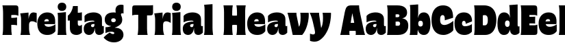 Freitag Trial Heavy font