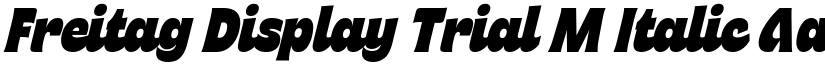 Freitag Display Trial M Italic font