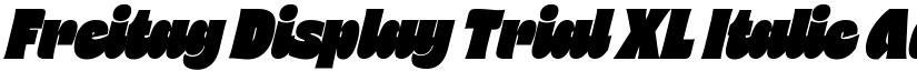 Freitag Display Trial XL Italic font
