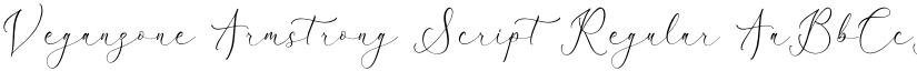Veganzone Armstrong Script Regular font