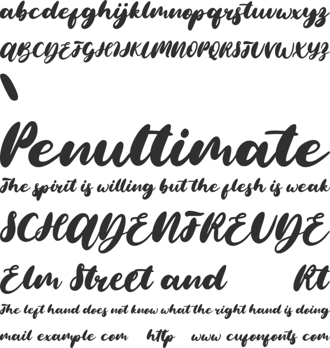 Morning Christmas Brush Font font preview