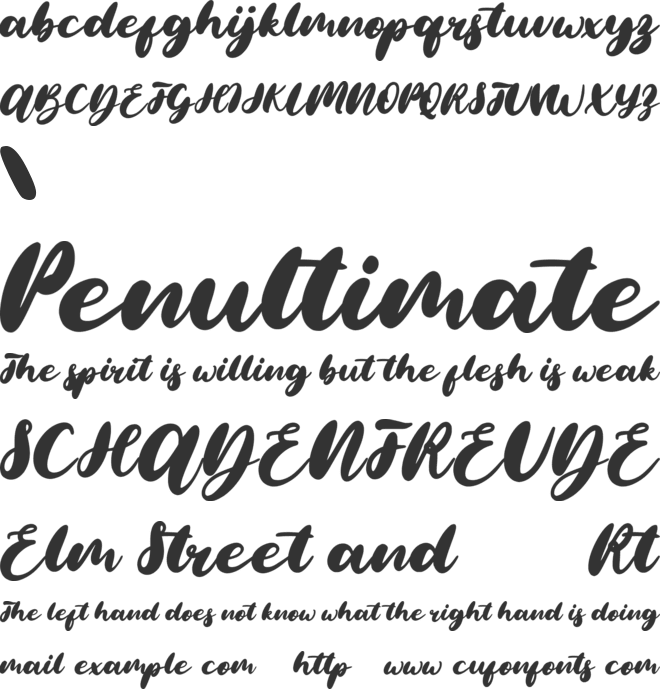 Morning Christmas Brush Font font preview