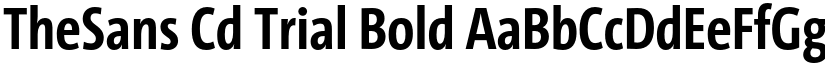 TheSans Cd Trial Bold font