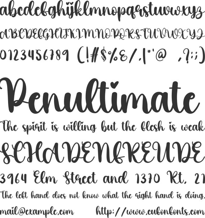 Tropical font preview