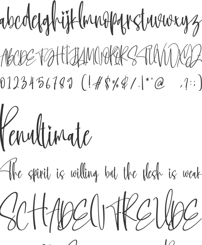 The William font preview