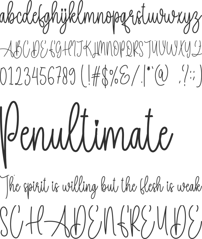 Sunflower Signature font preview