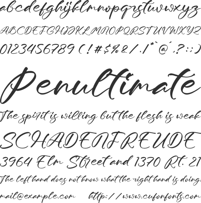 Moraless Chestera font preview