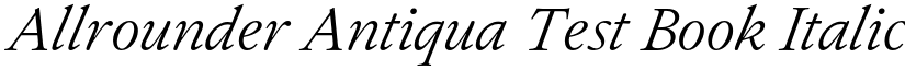 Allrounder Antiqua Test Book Italic font