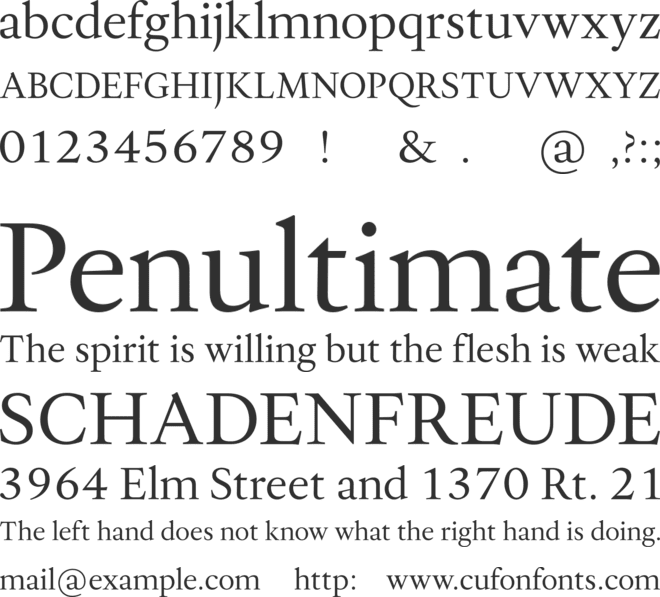 Allrounder Antiqua Test font preview