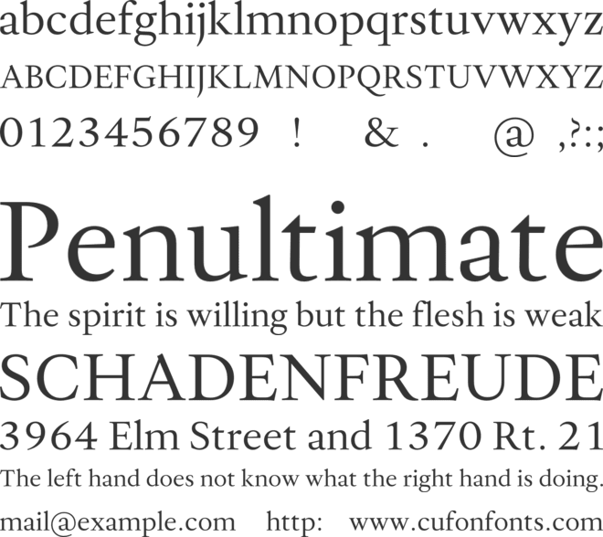 Allrounder Antiqua Test font preview