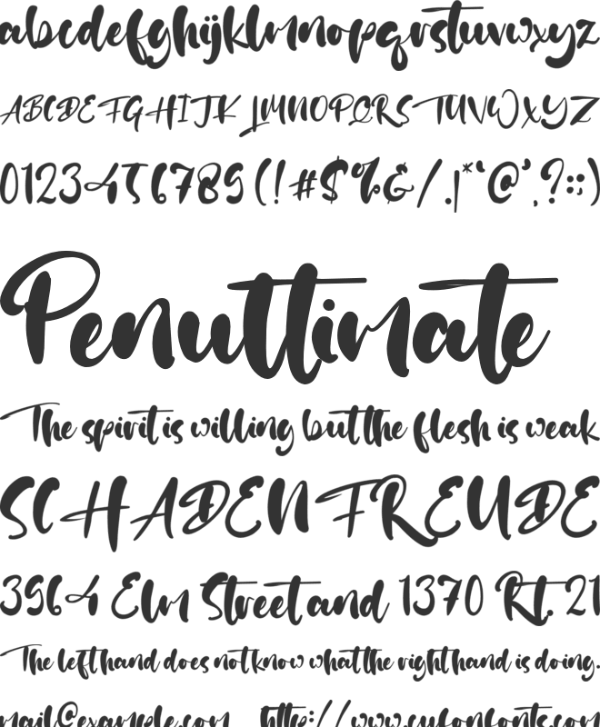 Daniel Petter font preview