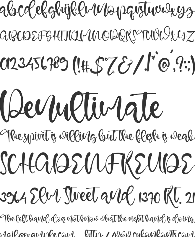 Belle Parker font preview