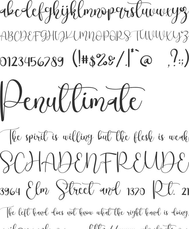 Bistro font preview