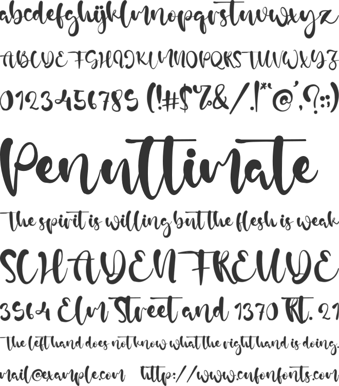 Megan Rose font preview