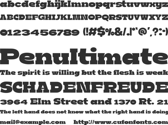 Boldie Slab font preview