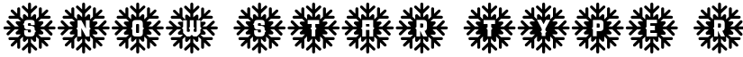 Snow Star Type Regular font