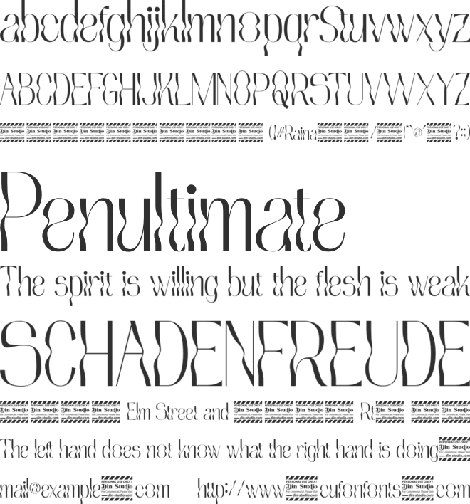 Raina Personal Use font preview