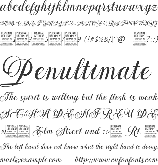 Widie Gusti font preview