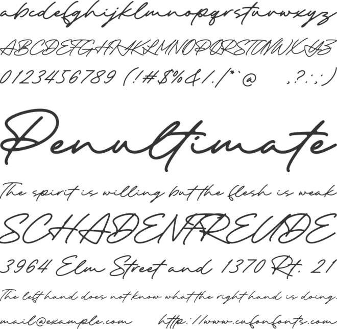 The Destiny font preview