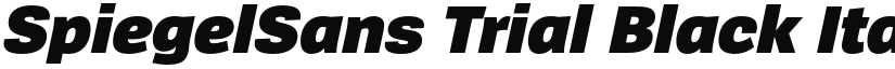 SpiegelSans Trial Black Italic font