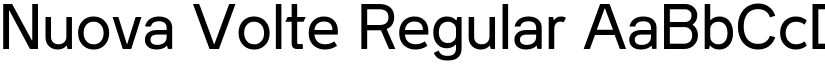 Nuova Volte Regular font