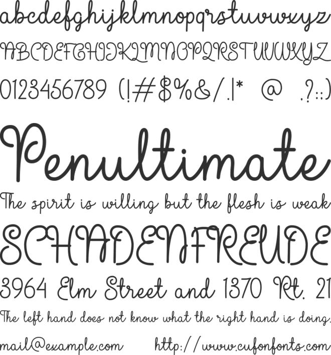 Carry You font preview