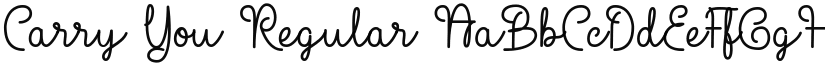 Carry You font download