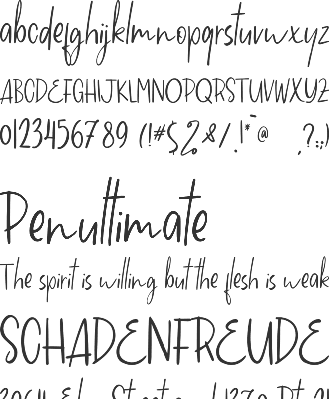 Snowdem Christmas font preview