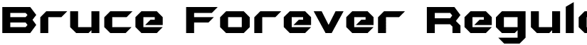 Bruce Forever Regular font