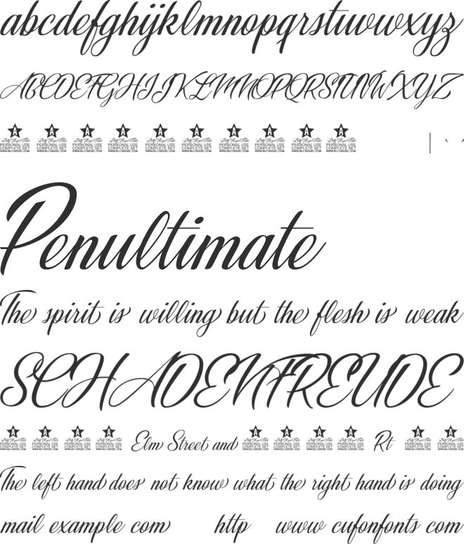 Weddingday Personal Use font preview