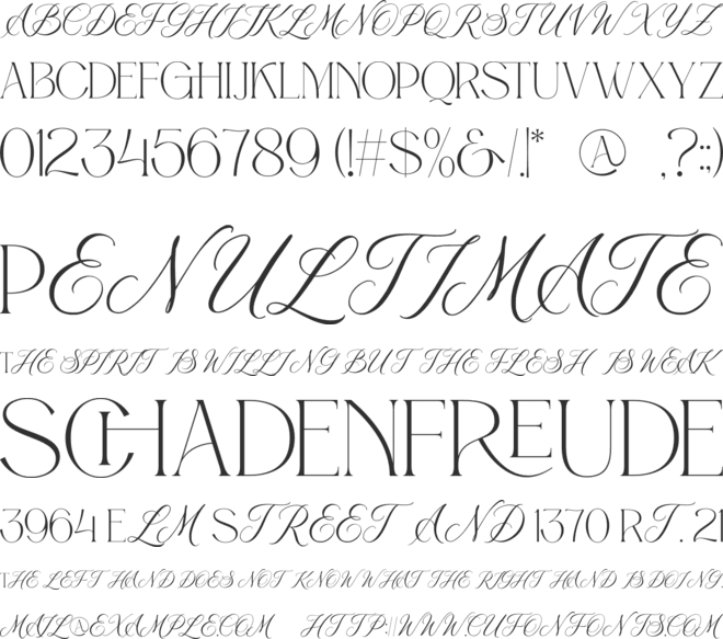 Beauty Luxury font preview