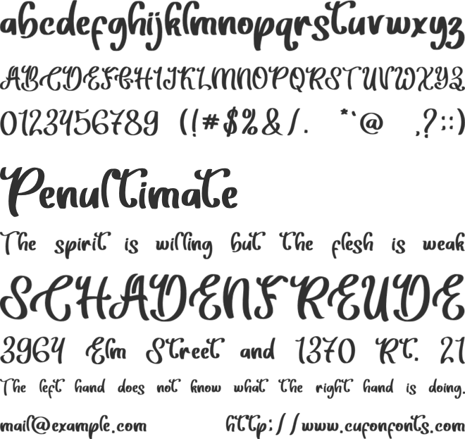 Beauty Christmas font preview