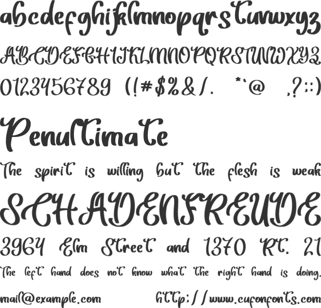 Beauty Christmas font preview