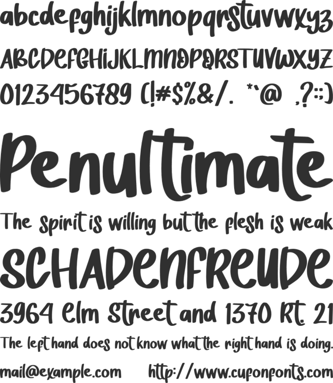The Show - Personal Use font preview