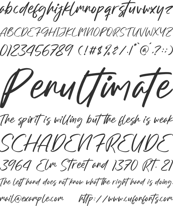 Alessandra Bookery font preview