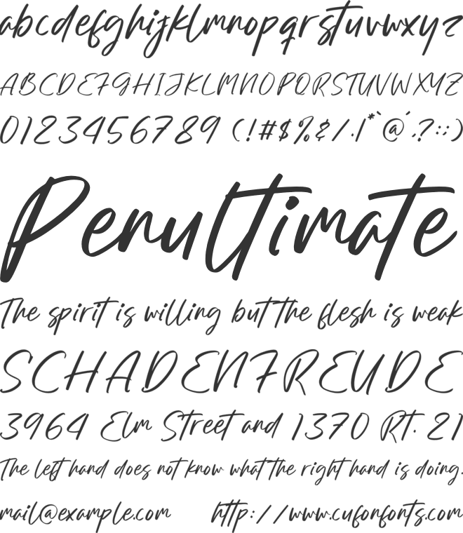 Alessandra Bookery font preview