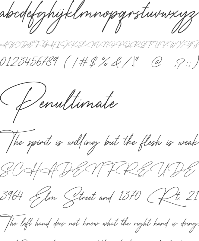 The Wedding Signature font preview