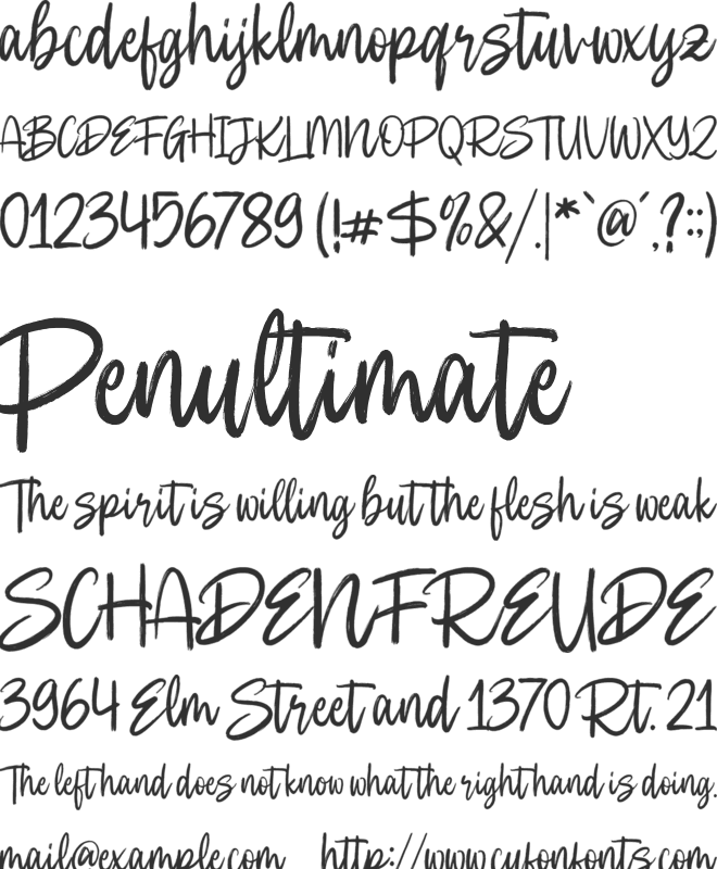 Cautions Brush font preview
