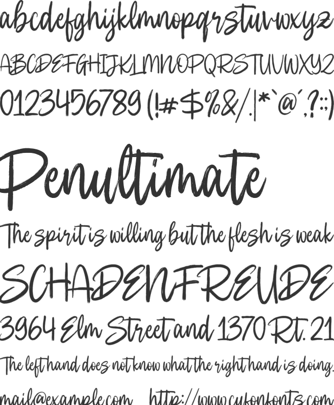 Cautions Brush font preview