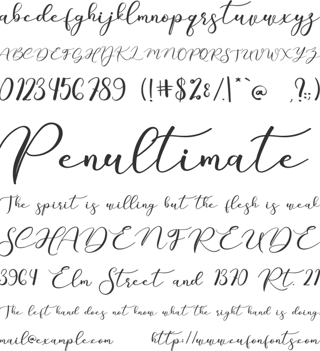 Hallo Mandala font preview